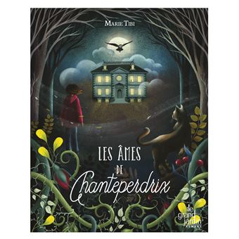 Joséphine et son père emménagent à Chanteperdrix. Cependant, la demeure n’est pas totalement inhabitée. Édouard, jeune garçon de quinze ans, mort depuis une centaine d’année hante le grenier de la bâtisse, accompagné par Asphodèle, une chouette télépathe qui fait le lien entre le monde des âmes et celui des vivants. Grâce à Asphodèle, Joséphine parvient à communiquer avec Édouard et d’autres âmes. Tous sont à la recherche d’Albert, le jeune frère d’Édouard. Joséphine pourrait-elle être la clé pour le retrouver ? Le temps presse, car des âmes sombres sont à leurs trousses.